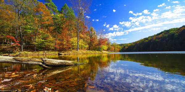 Hoosier National Forest