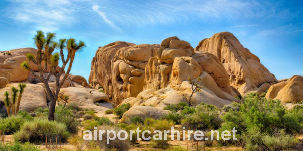 Joshua Tree National Park