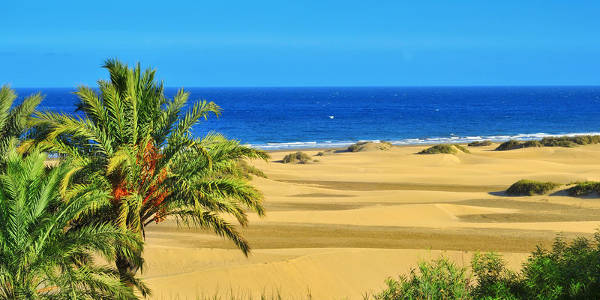 Car Hire Maspalomas